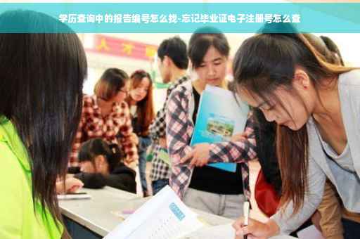 学历查询中的报告编号怎么找-忘记毕业证电子注册号怎么查