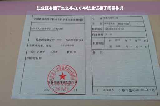 毕业证书丢了怎么补办,小学毕业证丢了需要补吗