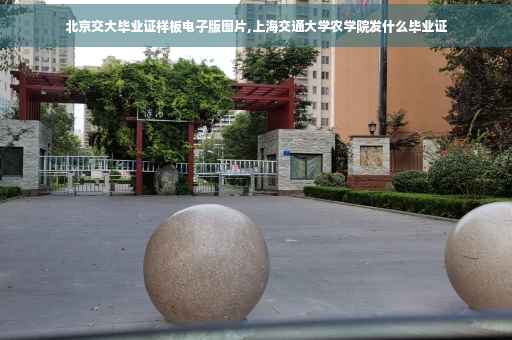 北京交大毕业证样板电子版图片,上海交通大学农学院发什么毕业证