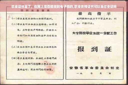 毕业证书丢了，在网上是否能找到电子档的,职业资格证书可以当毕业证吗