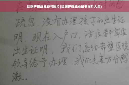 沈阳护理毕业证书图片(沈阳护理毕业证书图片大全)