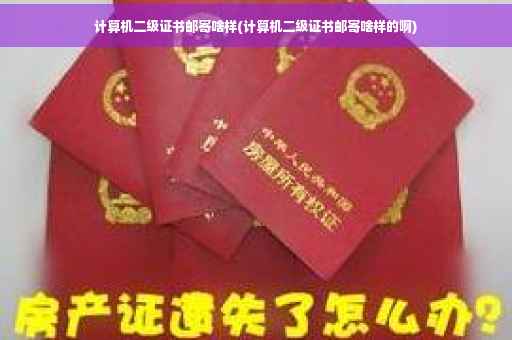 计算机二级证书邮寄啥样(计算机二级证书邮寄啥样的啊)
