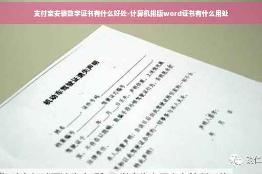支付宝安装数字证书有什么好处-计算机排版word证书有什么用处 支付宝安装数字证书有什么好处-计算机排版word证书有什么用处