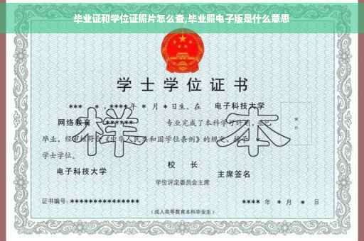 毕业证和学位证照片怎么查,毕业照电子版是什么意思