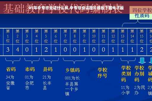 01年中专毕业证什么样,中专毕业证图片模板下载电子版