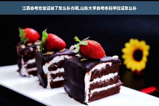 江西自考毕业证掉了怎么补办呢,山东大学自考本科学位证怎么补