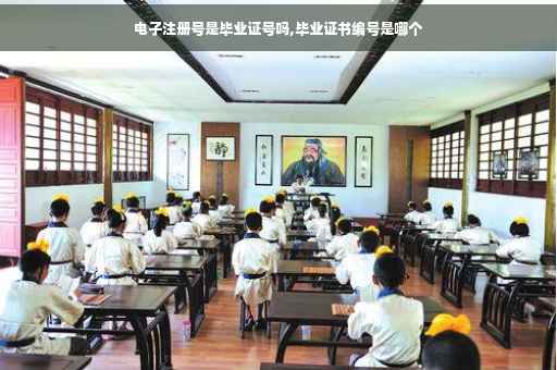 电子注册号是毕业证号吗,毕业证书编号是哪个 电子注册号是毕业证号吗,毕业证书编号是哪个