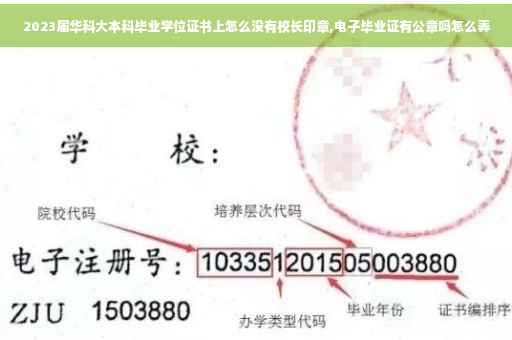 2023届华科大本科毕业学位证书上怎么没有校长印章,电子毕业证有公章吗怎么弄 2023届华科大本科毕业学位证书上怎么没有校长印章,电子毕业证有公章吗怎么弄