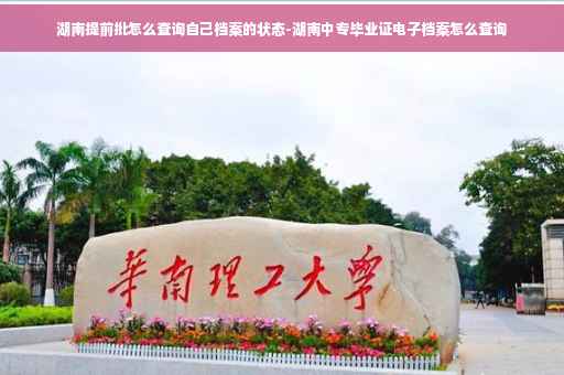 湖南提前批怎么查询自己档案的状态-湖南中专毕业证电子档案怎么查询