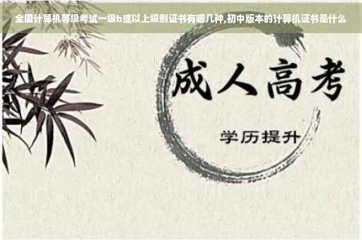 全国计算机等级考试一级b或以上级别证书有哪几种,初中版本的计算机证书是什么