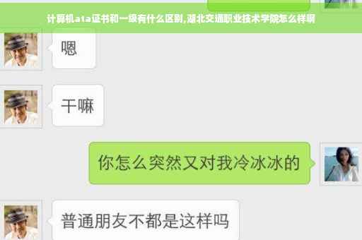 计算机ata证书和一级有什么区别,湖北交通职业技术学院怎么样啊