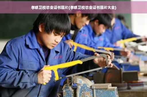 孝感卫校毕业证书图片(孝感卫校毕业证书图片大全)