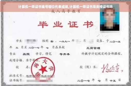 计算机一级证书编号哪位代表成绩,计算机一级证书是资格证书吗