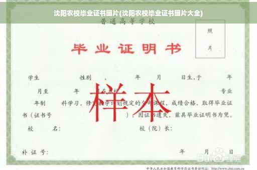 沈阳农校毕业证书图片(沈阳农校毕业证书图片大全)