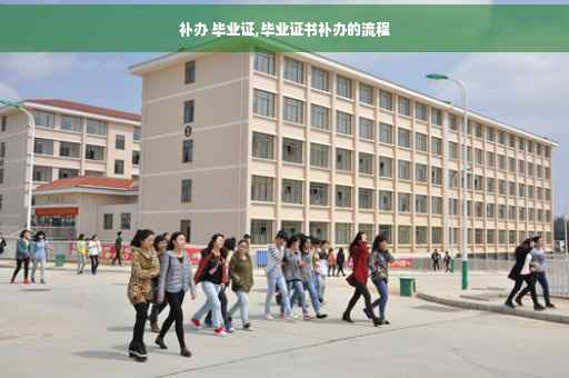 补办 毕业证,毕业证书补办的流程