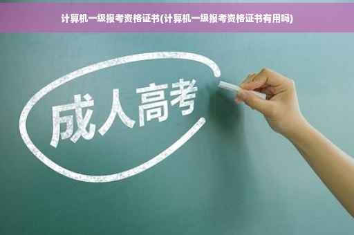 计算机一级报考资格证书(计算机一级报考资格证书有用吗)