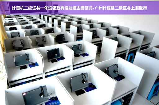 计算机二级证书一年没领取有谁知道去哪领吗-广州计算机二级证书上哪取得