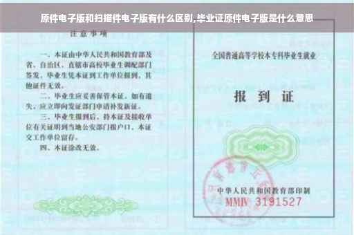 原件电子版和扫描件电子版有什么区别,毕业证原件电子版是什么意思