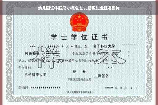 幼儿园证件照尺寸标准,幼儿精致毕业证书图片