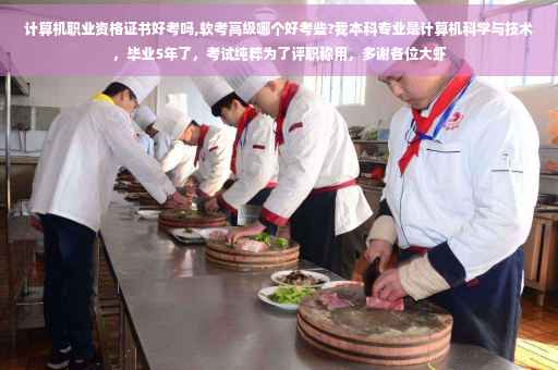 计算机职业资格证书好考吗,软考高级哪个好考些?我本科专业是计算机科学与技术，毕业5年了，考试纯粹为了评职称用，多谢各位大虾