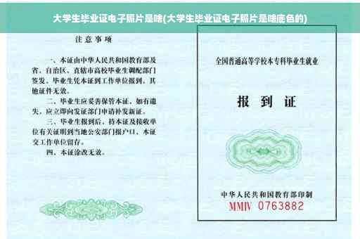 大学生毕业证电子照片是啥(大学生毕业证电子照片是啥底色的)