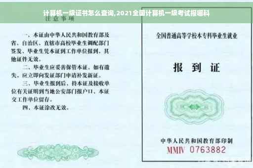 计算机一级证书怎么查询,2021全国计算机一级考试报哪科