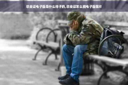 毕业证电子版是什么样子的,毕业证怎么搞电子版图片