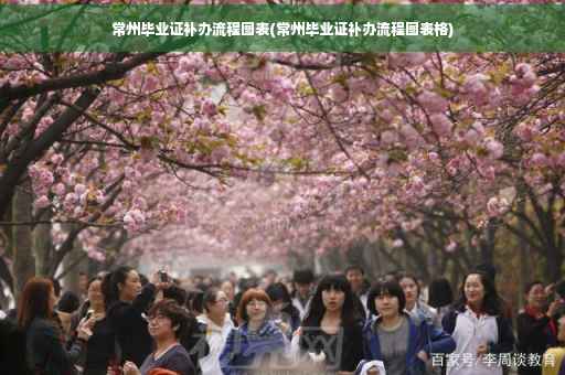 常州毕业证补办流程图表(常州毕业证补办流程图表格)
