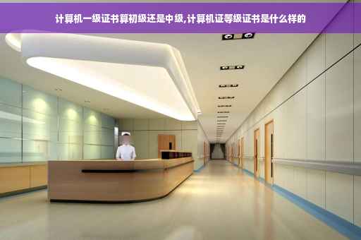 计算机一级证书算初级还是中级,计算机证等级证书是什么样的