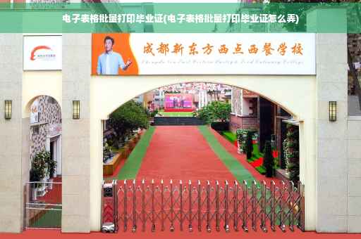 电子表格批量打印毕业证(电子表格批量打印毕业证怎么弄)