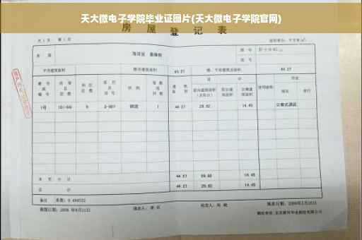 天大微电子学院毕业证图片(天大微电子学院官网)