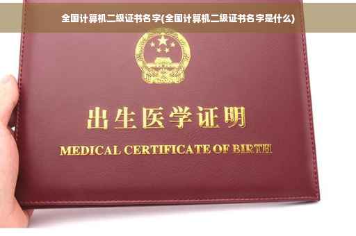 全国计算机二级证书名字(全国计算机二级证书名字是什么)