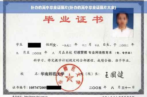 补办的高中毕业证图片(补办的高中毕业证图片大全)