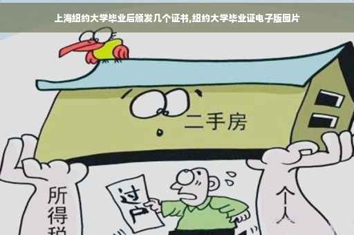 上海纽约大学毕业后颁发几个证书,纽约大学毕业证电子版图片
