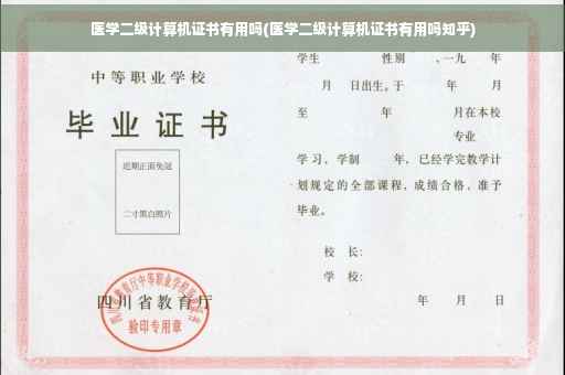 医学二级计算机证书有用吗(医学二级计算机证书有用吗知乎)