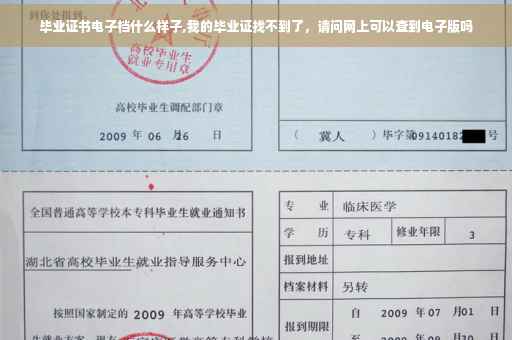 毕业证书电子档什么样子,我的毕业证找不到了，请问网上可以查到电子版吗