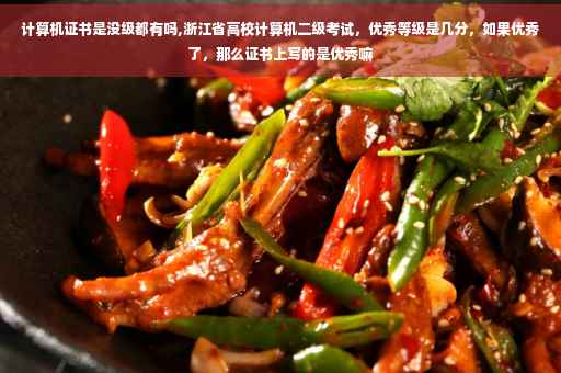 计算机证书是没级都有吗,浙江省高校计算机二级考试，优秀等级是几分，如果优秀了，那么证书上写的是优秀嘛