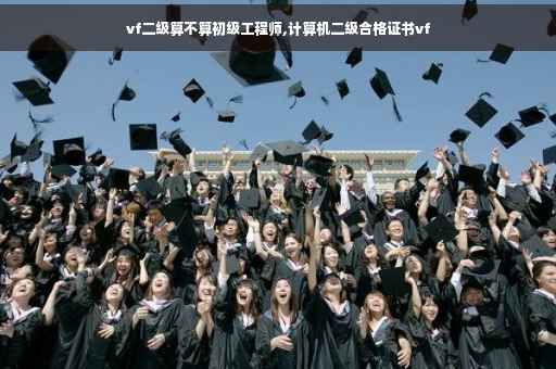 vf二级算不算初级工程师,计算机二级合格证书vf