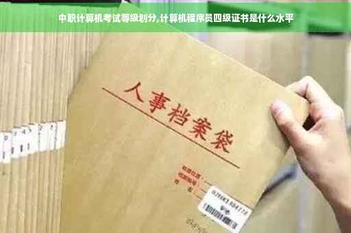 中职计算机考试等级划分,计算机程序员四级证书是什么水平