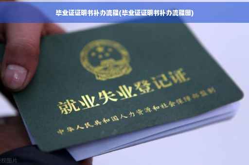 毕业证证明书补办流程(毕业证证明书补办流程图)