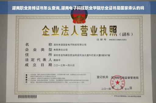 湖南职业资格证书怎么查询,湖南电子科技职业学院毕业证书是国家承认的吗