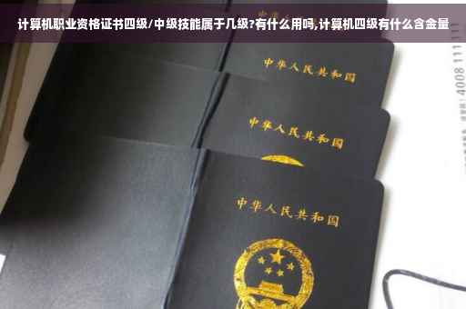 计算机职业资格证书四级/中级技能属于几级?有什么用吗,计算机四级有什么含金量