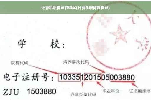 计算机职称证书购买(计算机职称资格证)