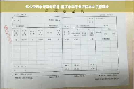 怎么查询中考准考证号-廉江中学毕业证样本电子版图片