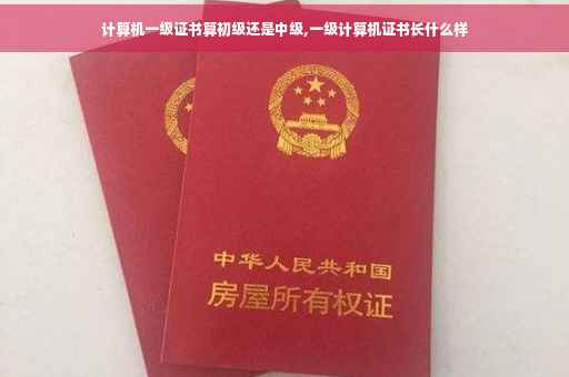 计算机一级证书算初级还是中级,一级计算机证书长什么样