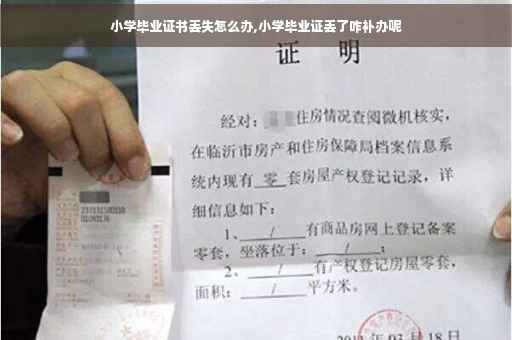 小学毕业证书丢失怎么办,小学毕业证丢了咋补办呢