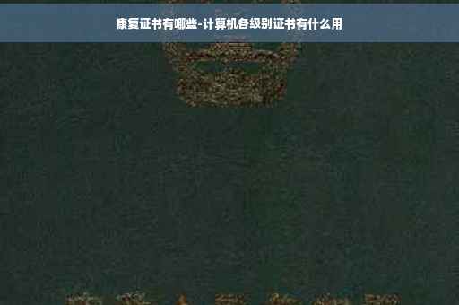 康复证书有哪些-计算机各级别证书有什么用