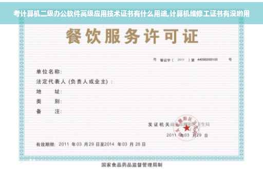 考计算机二级办公软件高级应用技术证书有什么用途,计算机维修工证书有没哟用