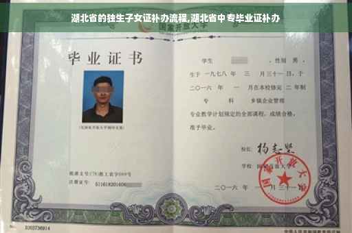 湖北省的独生子女证补办流程,湖北省中专毕业证补办