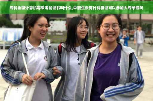 专科全国计算机等级考试证书叫什么,中职生没有计算机证可以参加大专单招吗